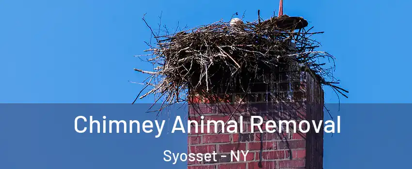  Chimney Animal Removal Syosset - NY