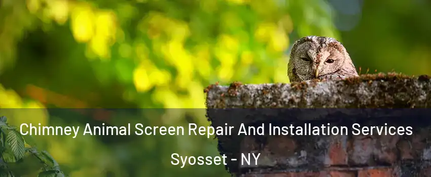  Chimney Animal Screen Repair And Installation Services Syosset - NY