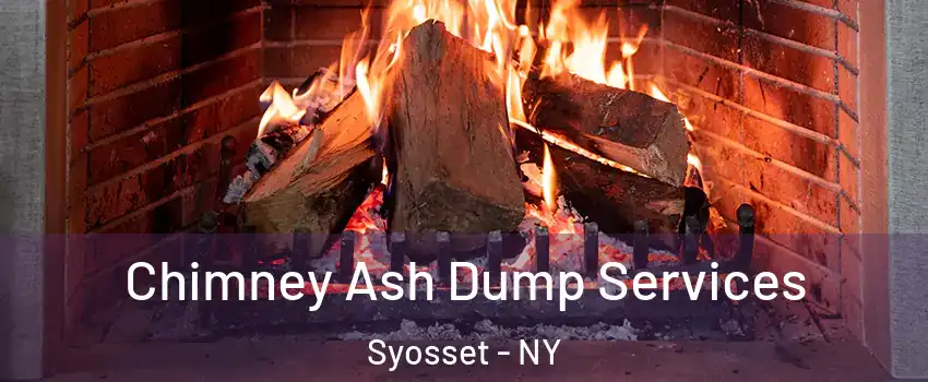  Chimney Ash Dump Services Syosset - NY