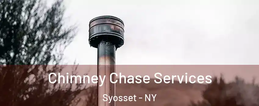  Chimney Chase Services Syosset - NY