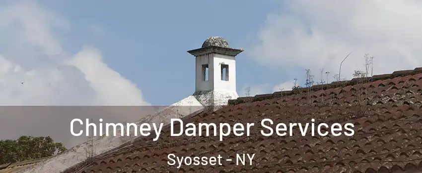  Chimney Damper Services Syosset - NY
