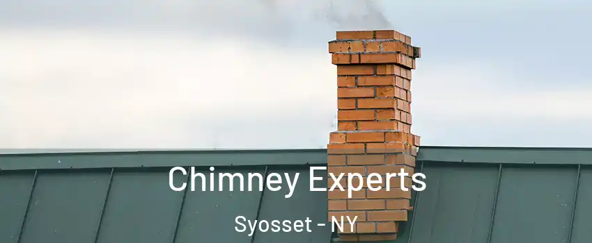  Chimney Experts Syosset - NY