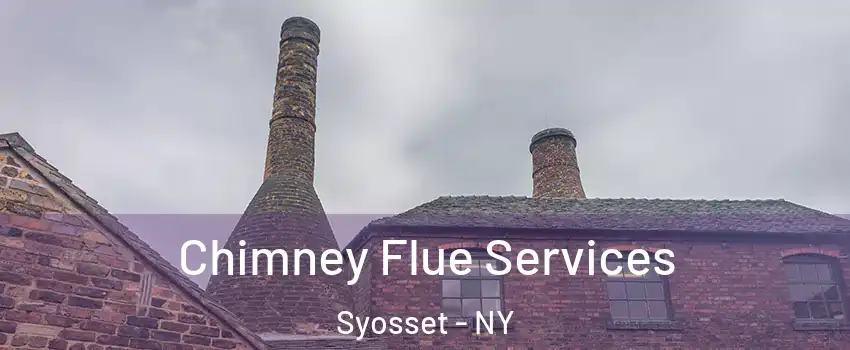  Chimney Flue Services Syosset - NY