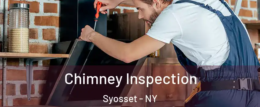  Chimney Inspection Syosset - NY
