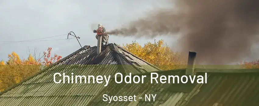  Chimney Odor Removal Syosset - NY