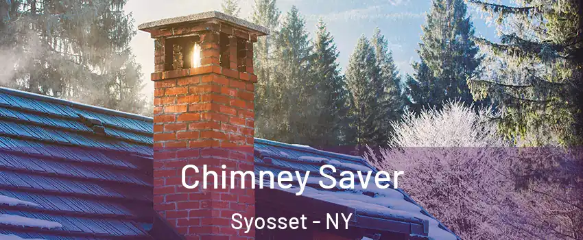  Chimney Saver Syosset - NY