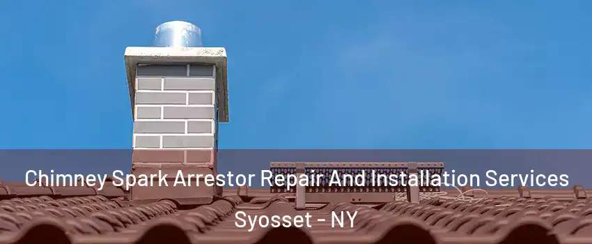  Chimney Spark Arrestor Repair And Installation Services Syosset - NY
