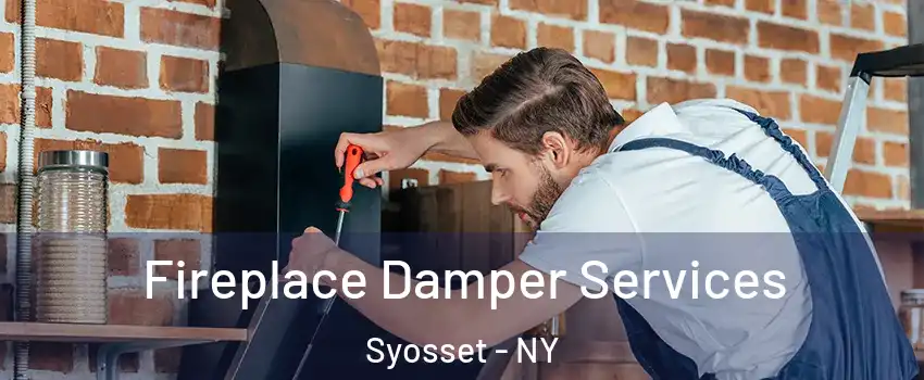  Fireplace Damper Services Syosset - NY
