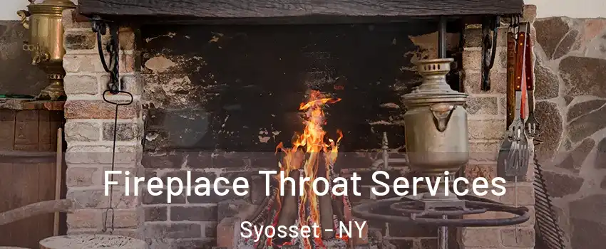  Fireplace Throat Services Syosset - NY