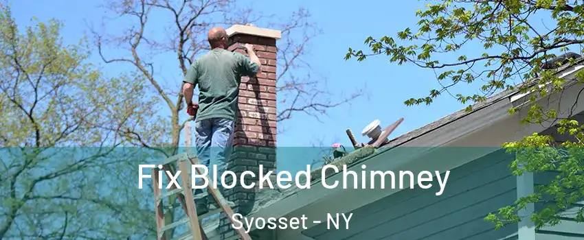  Fix Blocked Chimney Syosset - NY