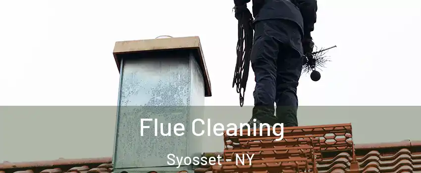  Flue Cleaning Syosset - NY