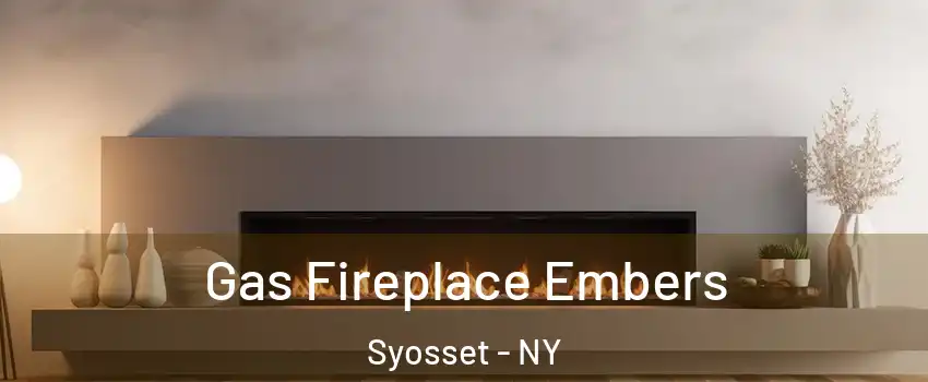  Gas Fireplace Embers Syosset - NY