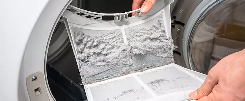 Best Dryer Lint Removal Company in Syosset, New York
