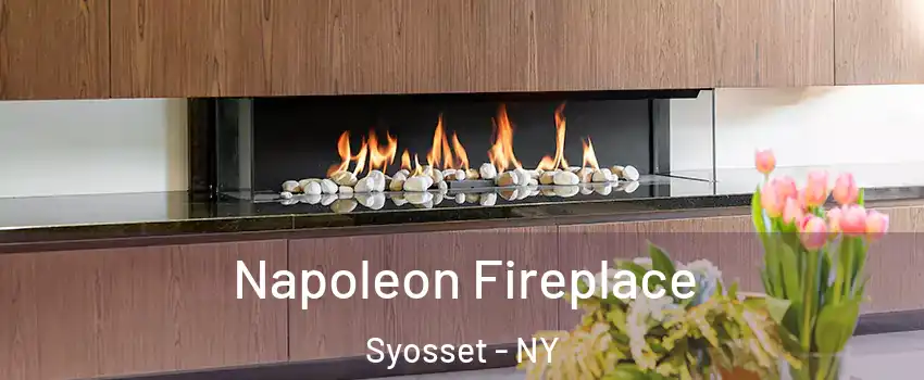  Napoleon Fireplace Syosset - NY