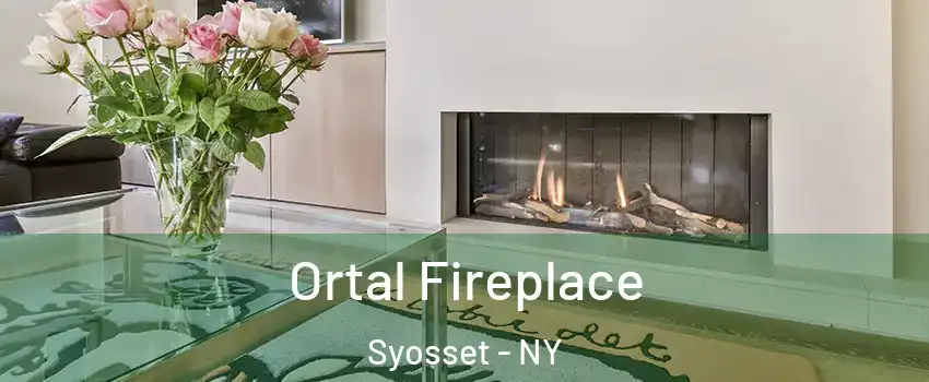  Ortal Fireplace Syosset - NY